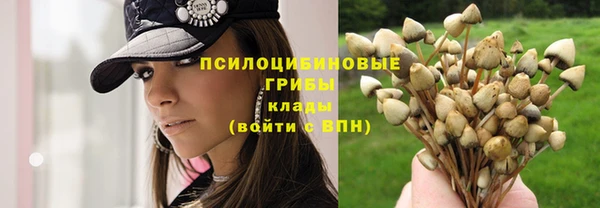 мяу мяу кристалл Горно-Алтайск