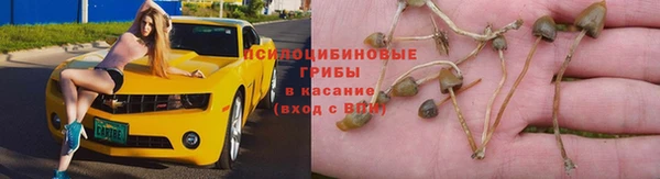 мяу мяу кристалл Горно-Алтайск