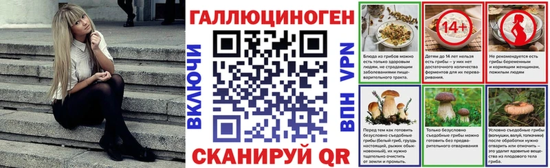 нарко площадка наркотические препараты  где купить наркоту  Шимановск  Псилоцибиновые грибы мицелий 
